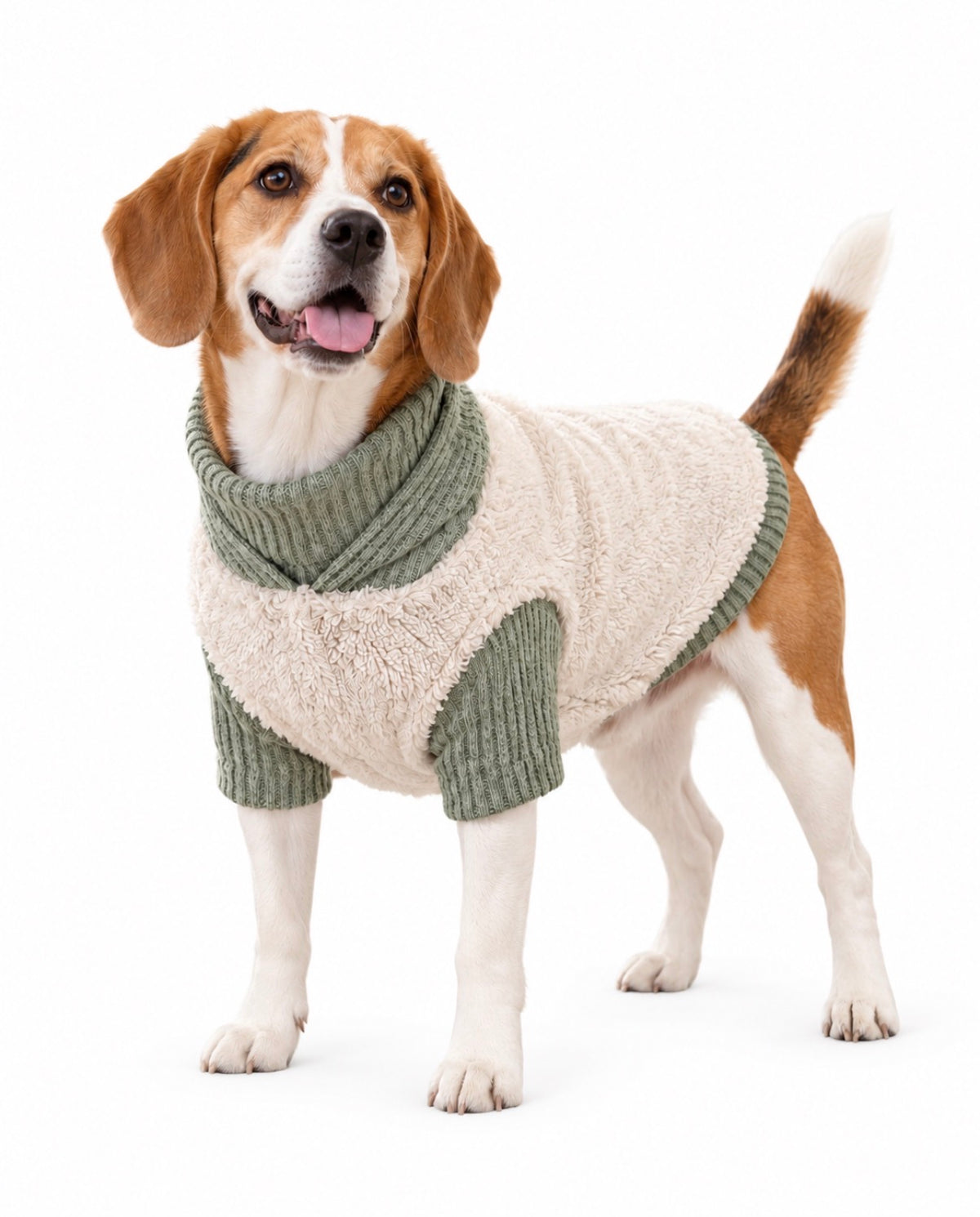 teddy 2 delige honden set