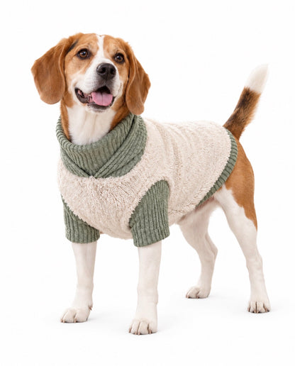 teddy 2 delige honden set